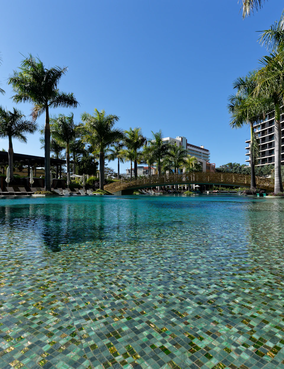 Piscina e jardins de um hotel na Madeira